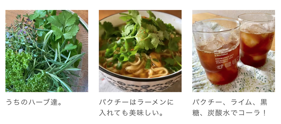 サバとなますのバインミー