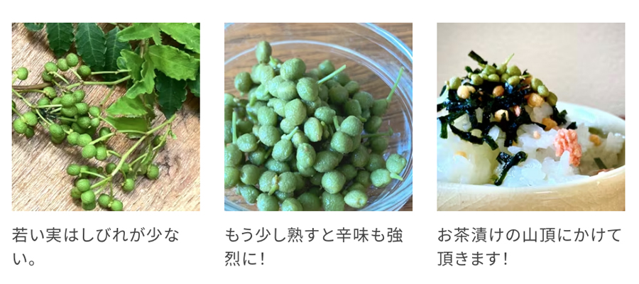 山椒の実のお茶漬け