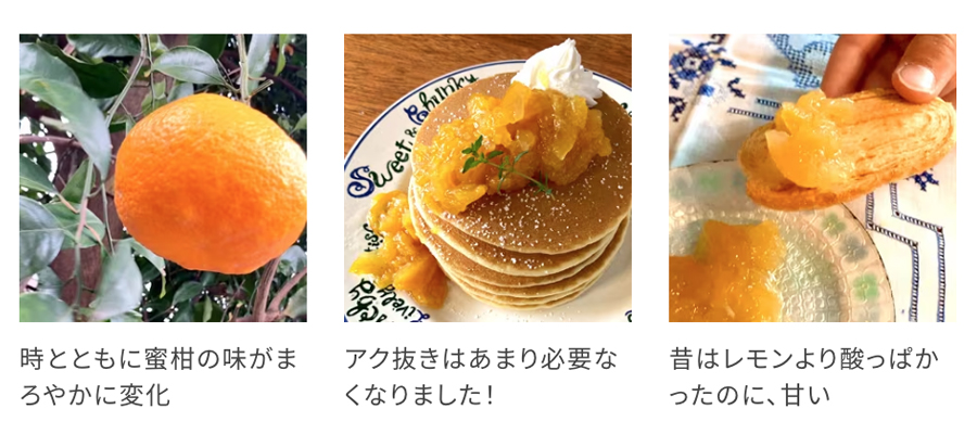 マーマレードのパンケーキ