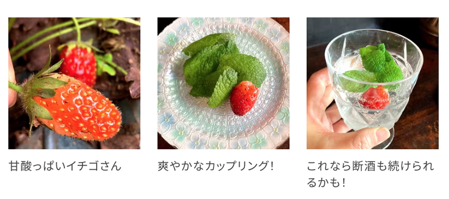 苺とミントのモヒート風