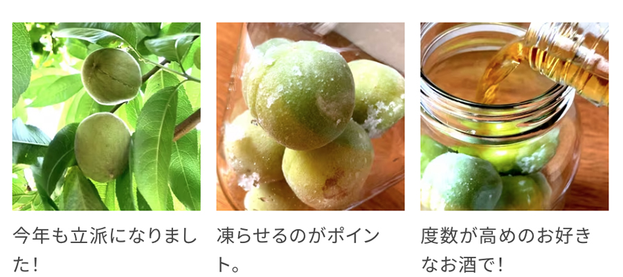 甘くない梅酒