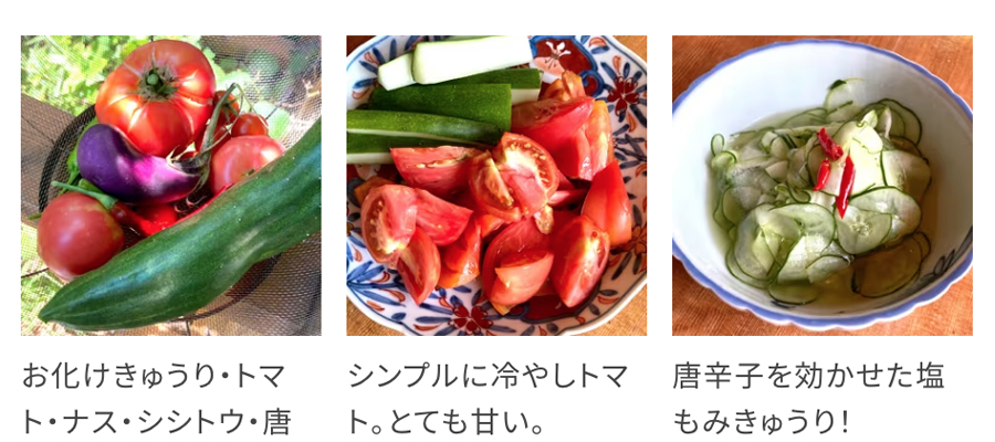 夏野菜の焼き浸し