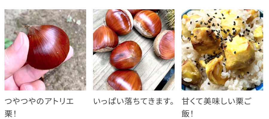 栗ご飯