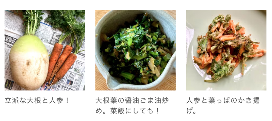 人参の葉っぱサラダ