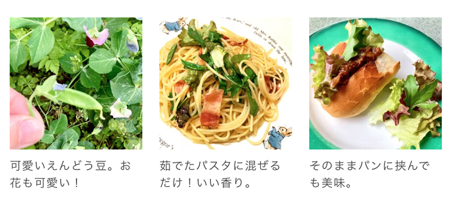 ルッコラのピザ
