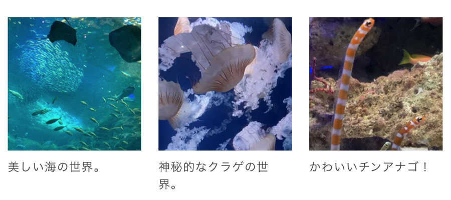 新江ノ島水族館