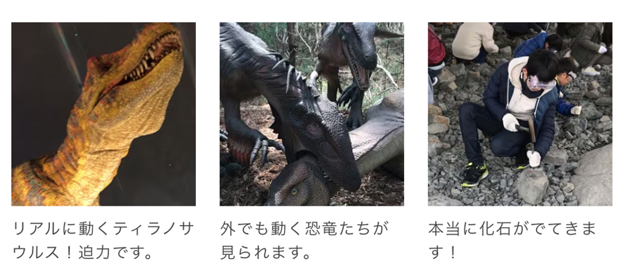 福井県立恐竜博物館