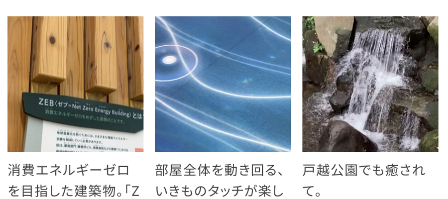 エコルとごし