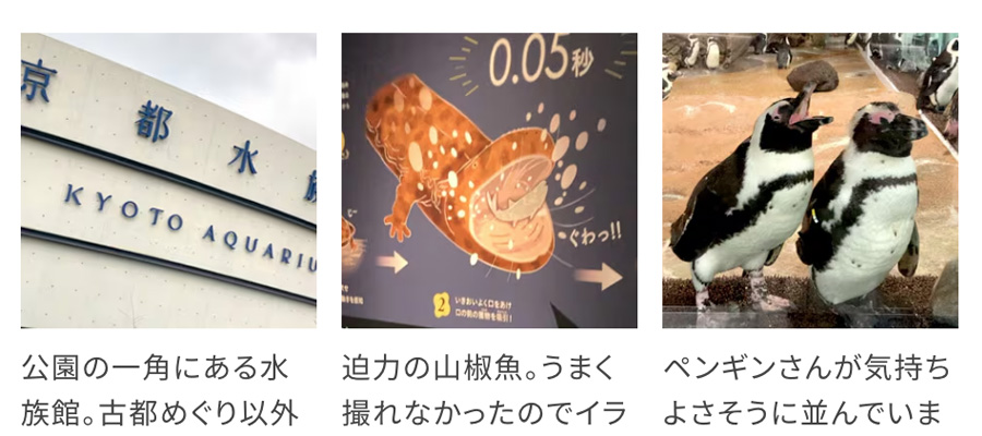 京都水族館