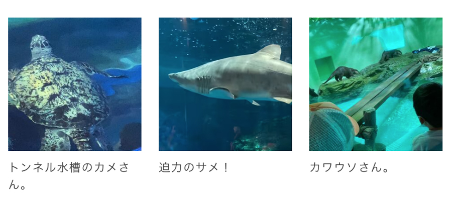 しながわ水族館