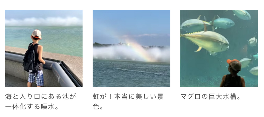 葛西臨海水族園