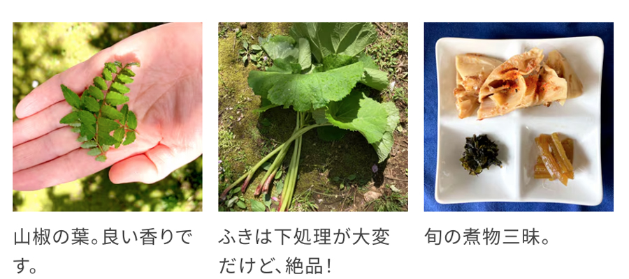 たけのこご飯と山椒