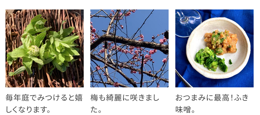 蕗のとうのショートパスタ