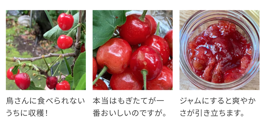 さくらんぼのジャム