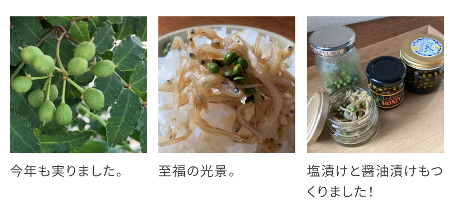 ちりめん山椒
