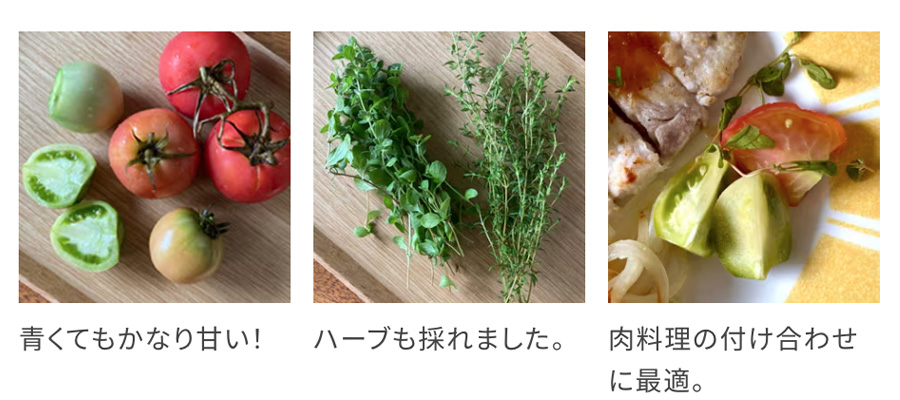 青いトマトのピクルス