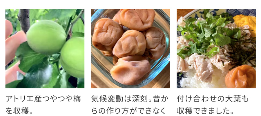 梅干しはちみつ漬け