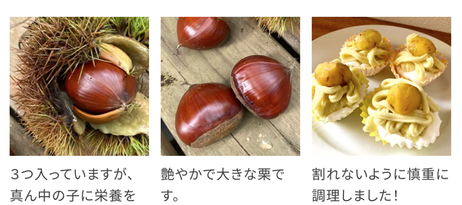 アトリエ栗のモンブラン
