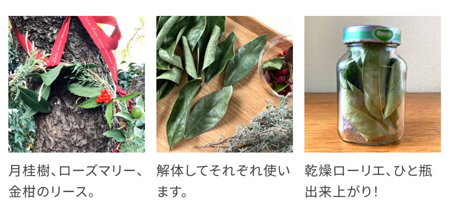自家製ローリエのチキンカレー