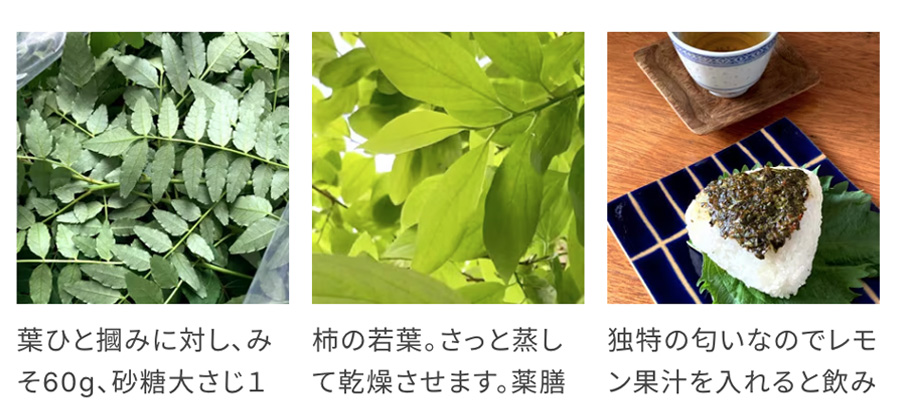 柿の葉茶と山椒味噌の焼きおにぎり