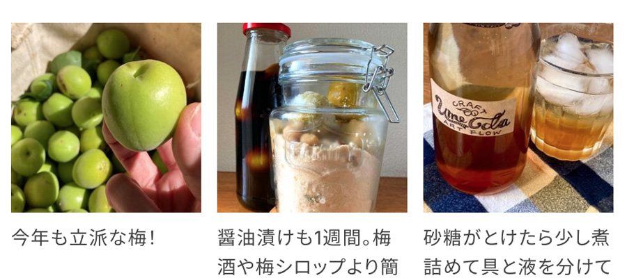 クラフト梅コーラ